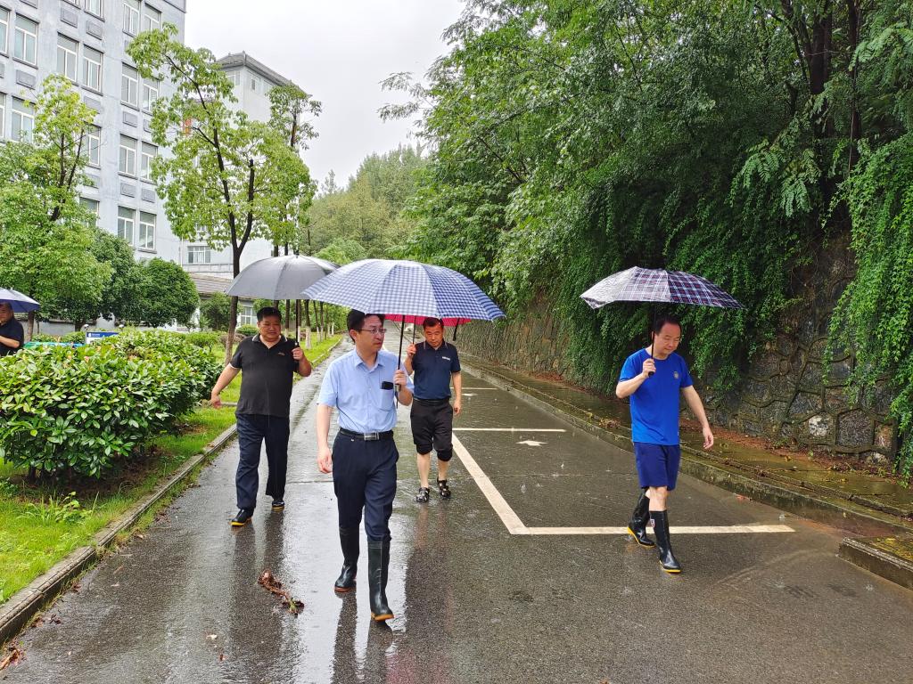 太阳集团